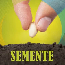 JM Semente
